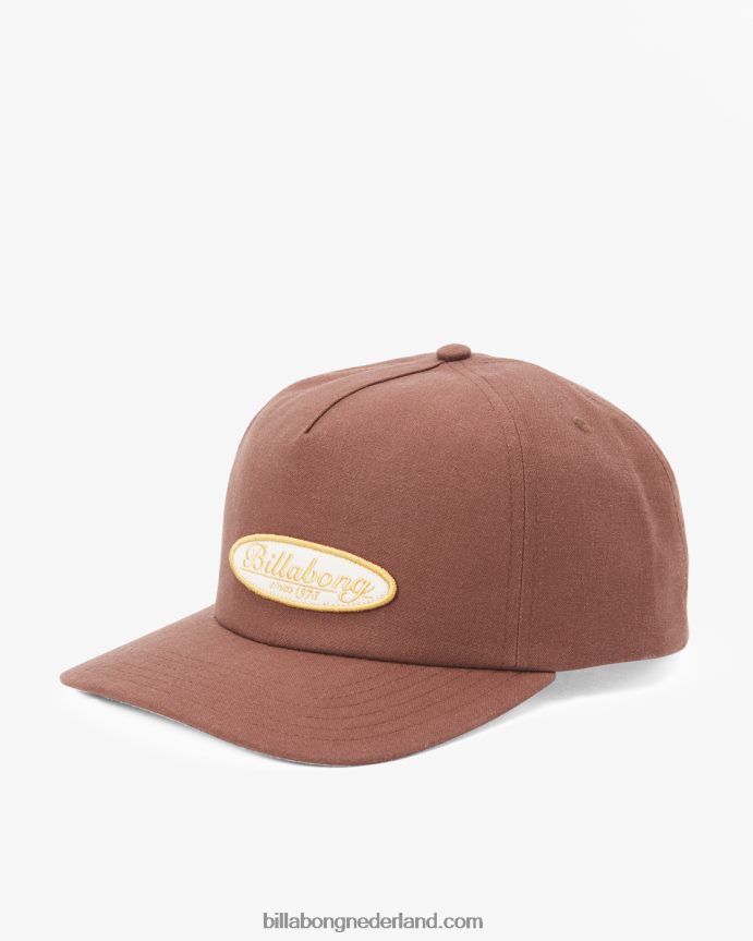 Billabong Heren dagelijkse low-profile ongestructureerde petchocolade 4D20H693