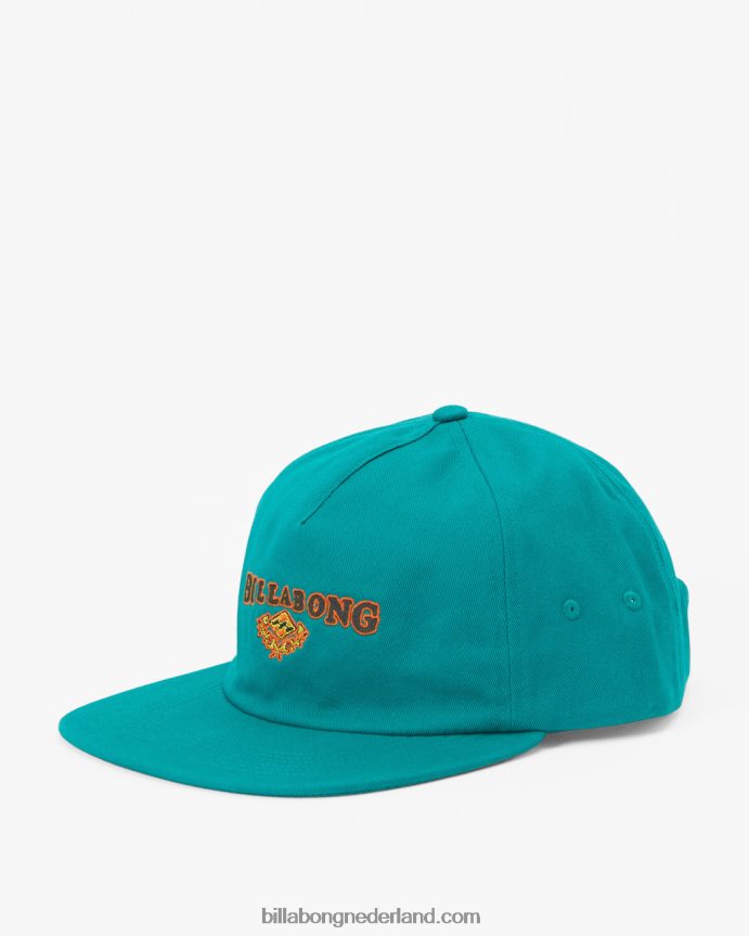 Billabong Heren erfgoed honkbal hoeddiepe wintertaling 4D20H670