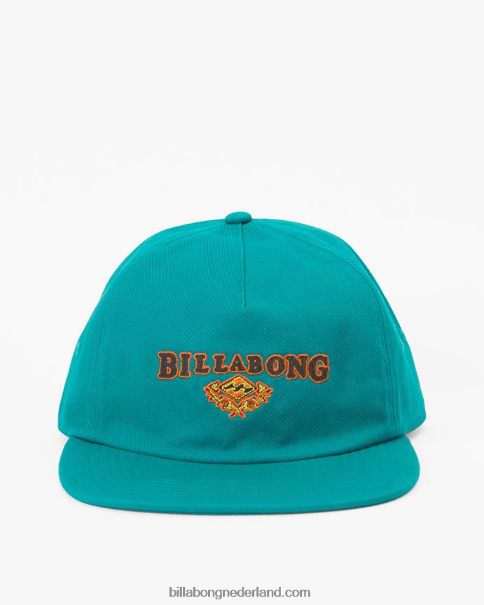 Billabong Heren erfgoed honkbal hoeddiepe wintertaling 4D20H670