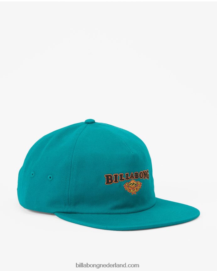 Billabong Heren erfgoed honkbal hoeddiepe wintertaling 4D20H670