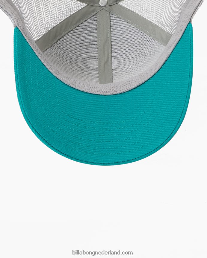 Billabong Heren ommuurde vrachtwagenchauffeurhoeddiepe wintertaling 4D20H777