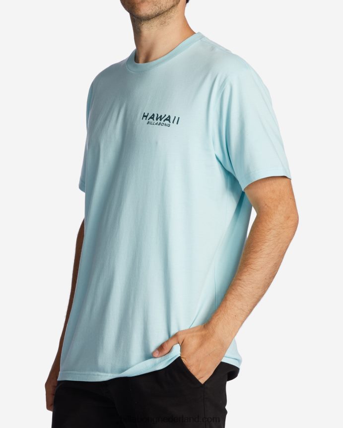 Billabong Heren Hawaï uitkijk t-shirtkust 4D20H312