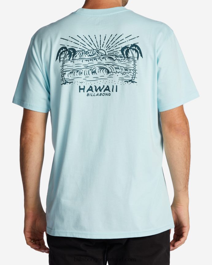 Billabong Heren Hawaï uitkijk t-shirtkust 4D20H312