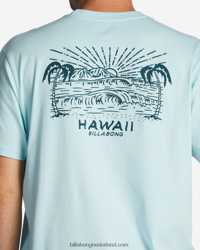 Billabong Heren Hawaï uitkijk t-shirtkust 4D20H312