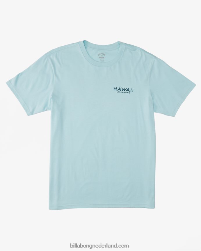 Billabong Heren Hawaï uitkijk t-shirtkust 4D20H312