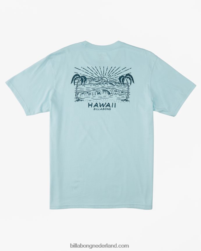 Billabong Heren Hawaï uitkijk t-shirtkust 4D20H312