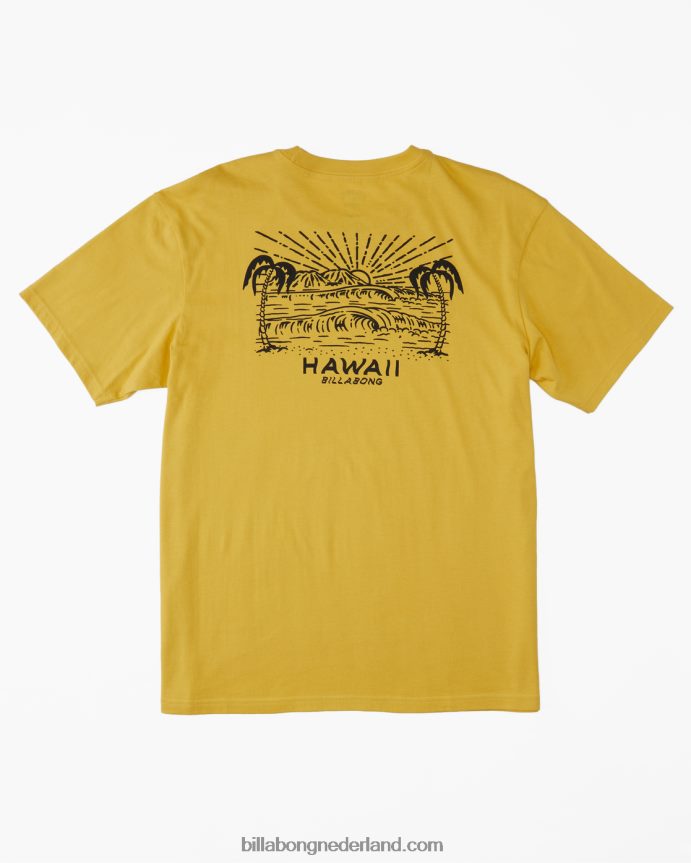 Billabong Heren Hawaï uitkijk t-shirtzonnig 4D20H384