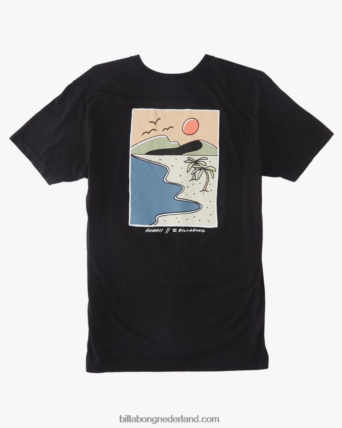 Billabong Heren Hawaiiaanse keerkringen t-shirtzwart 4D20H438