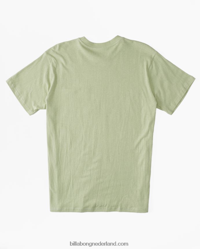 Billabong Heren T-shirt met hennepzaklichte salie 4D20H483