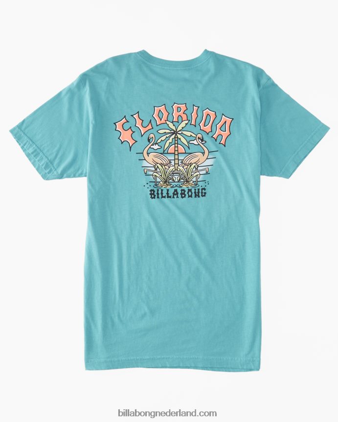 Billabong Heren flamingo boog t-shirtzee groen 4D20H336