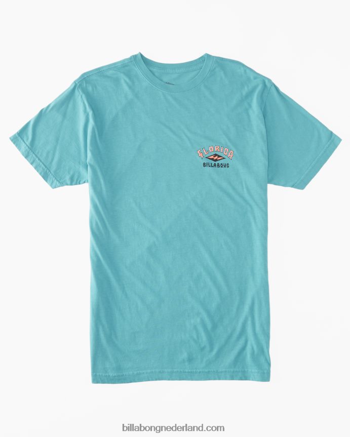 Billabong Heren flamingo boog t-shirtzee groen 4D20H336