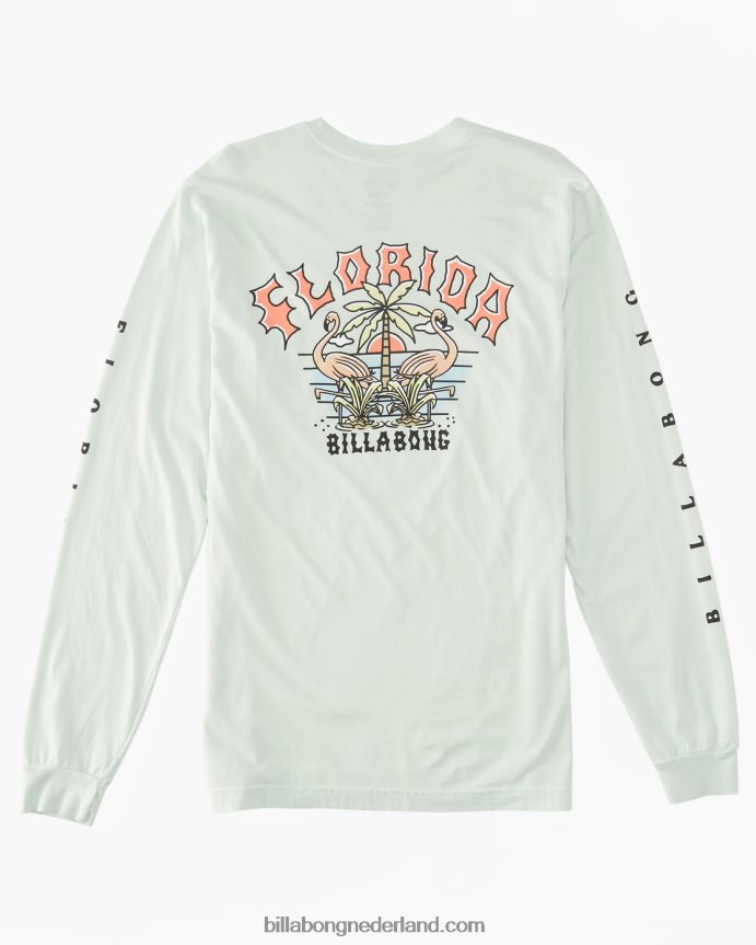 Billabong Heren flamingo boog t-shirtzeeglas 4D20H442