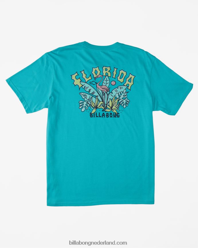 Billabong Heren florida boog t-shirtdonkere munt 4D20H400