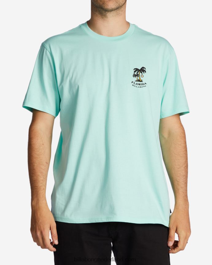 Billabong Heren florida dos palmen t-shirtfrisse munt 4D20H426