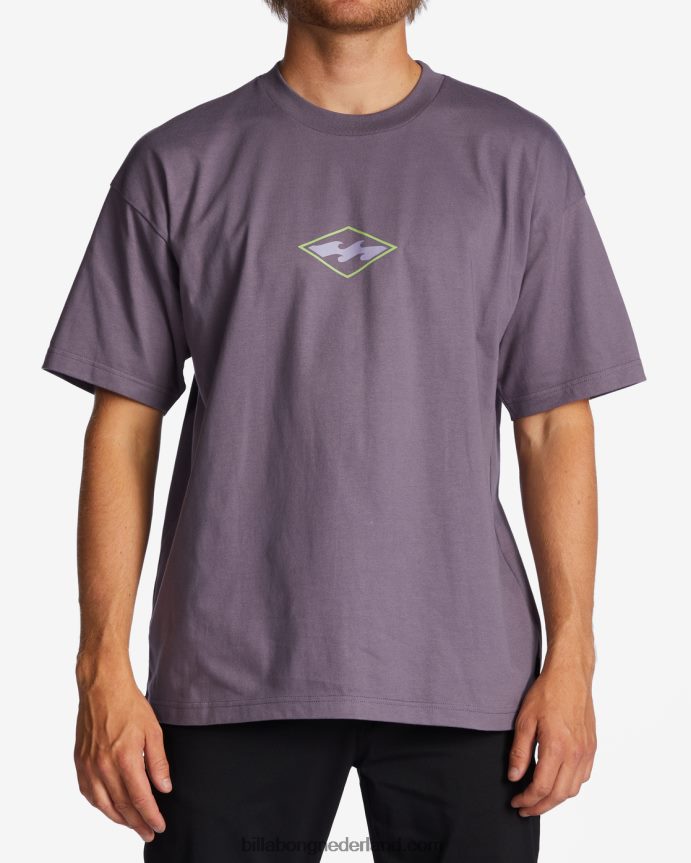 Billabong Heren groei og t-shirtpaarse nevel 4D20H326