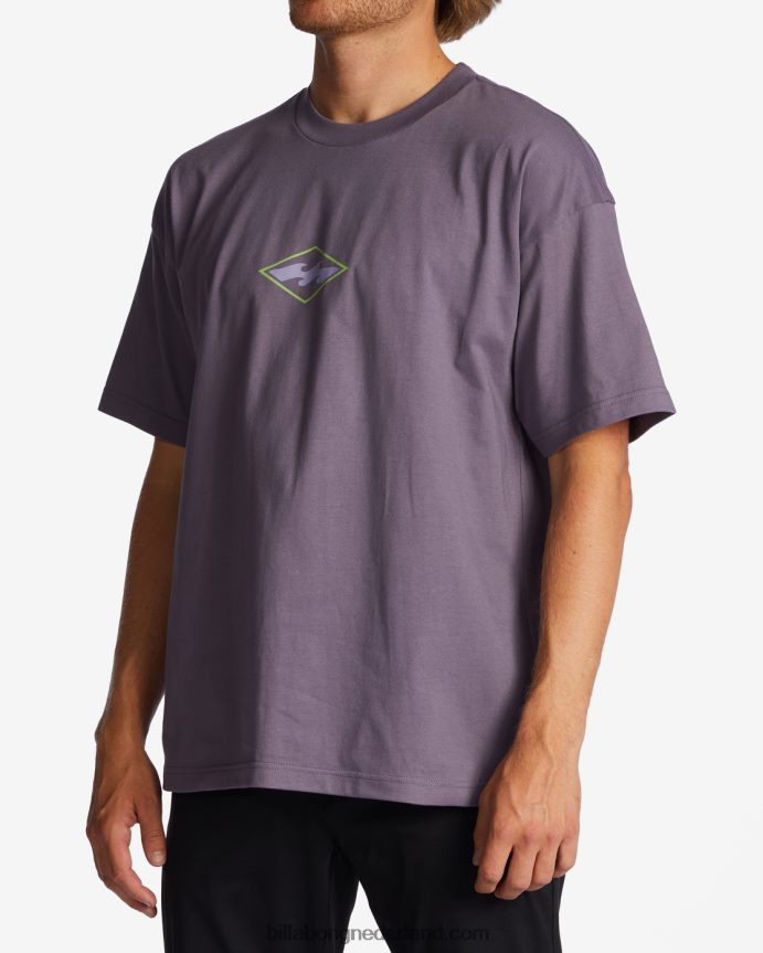 Billabong Heren groei og t-shirtpaarse nevel 4D20H326