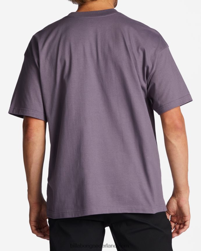 Billabong Heren groei og t-shirtpaarse nevel 4D20H326