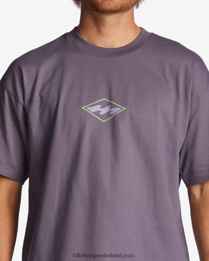 Billabong Heren groei og t-shirtpaarse nevel 4D20H326