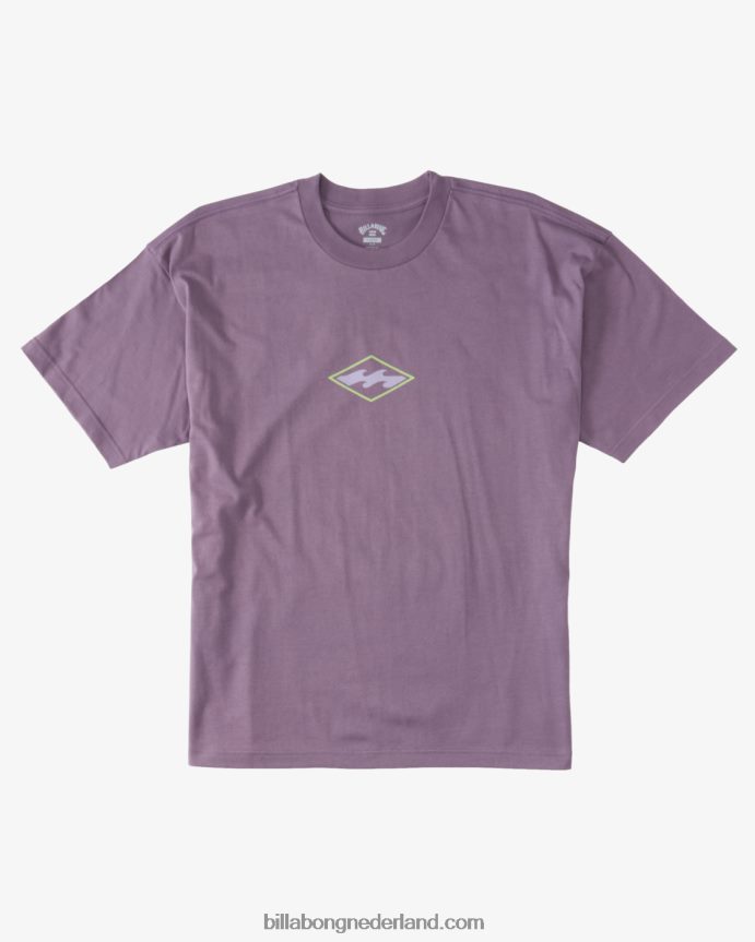 Billabong Heren groei og t-shirtpaarse nevel 4D20H326