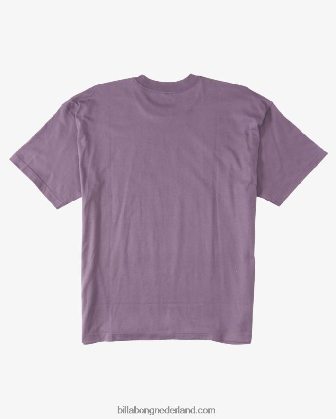 Billabong Heren groei og t-shirtpaarse nevel 4D20H326