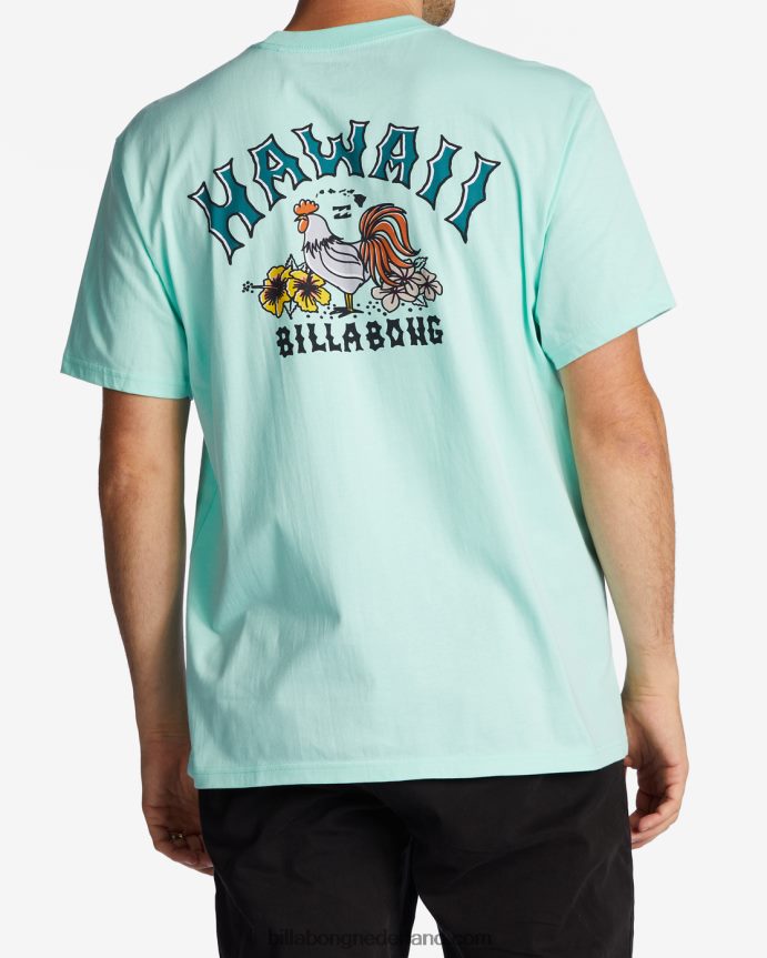 Billabong Heren hawaï boog t-shirtfrisse munt 4D20H327