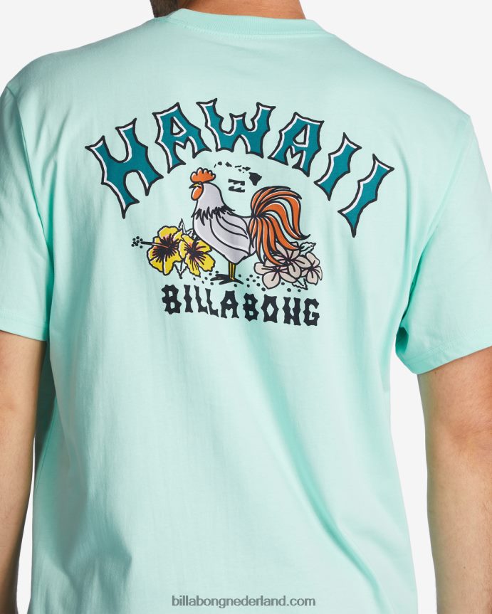 Billabong Heren hawaï boog t-shirtfrisse munt 4D20H327