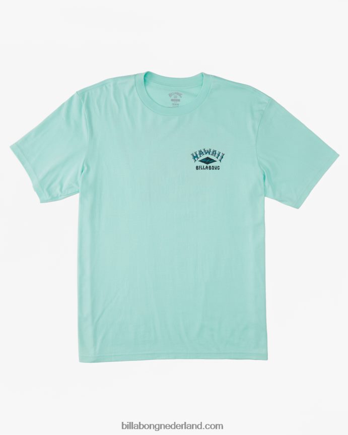 Billabong Heren hawaï boog t-shirtfrisse munt 4D20H327
