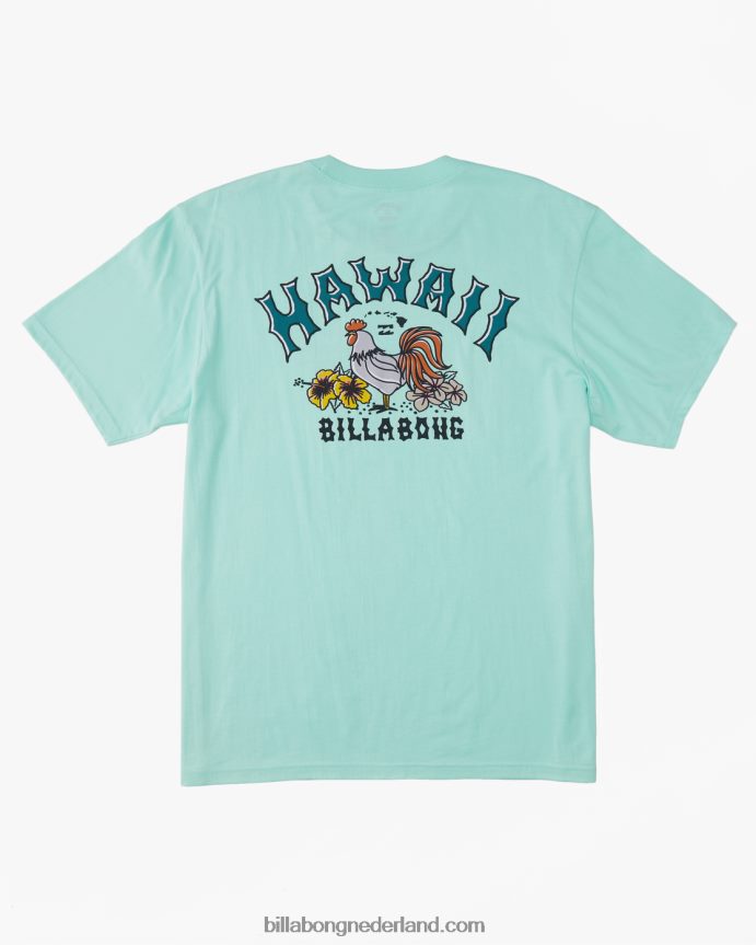 Billabong Heren hawaï boog t-shirtfrisse munt 4D20H327