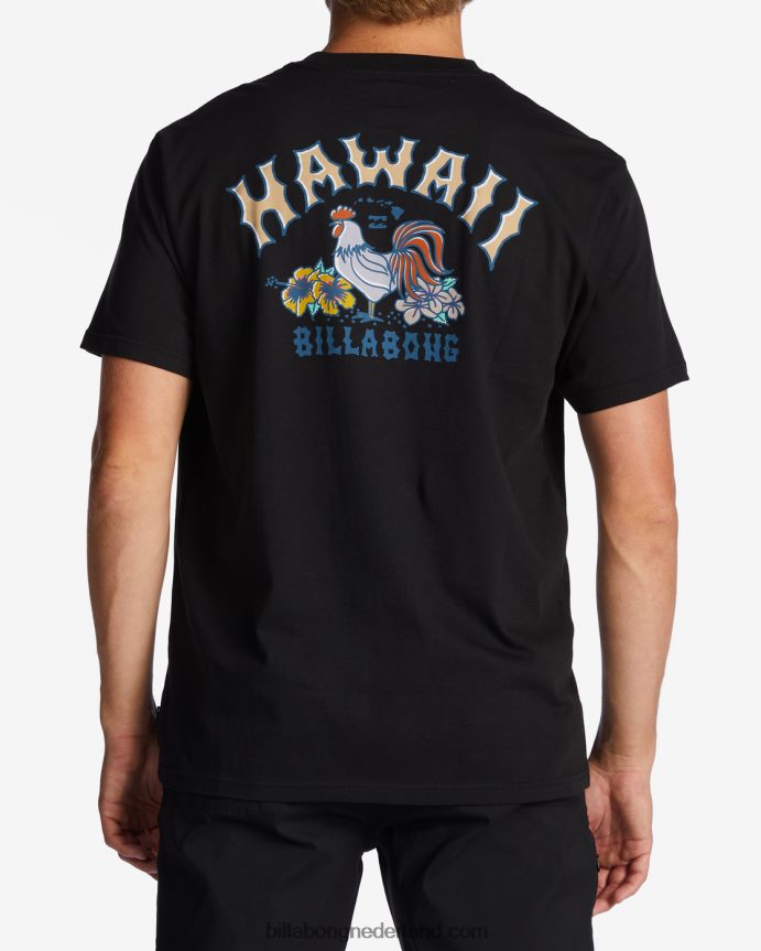 Billabong Heren hawaï boog t-shirtzwart 4D20H337