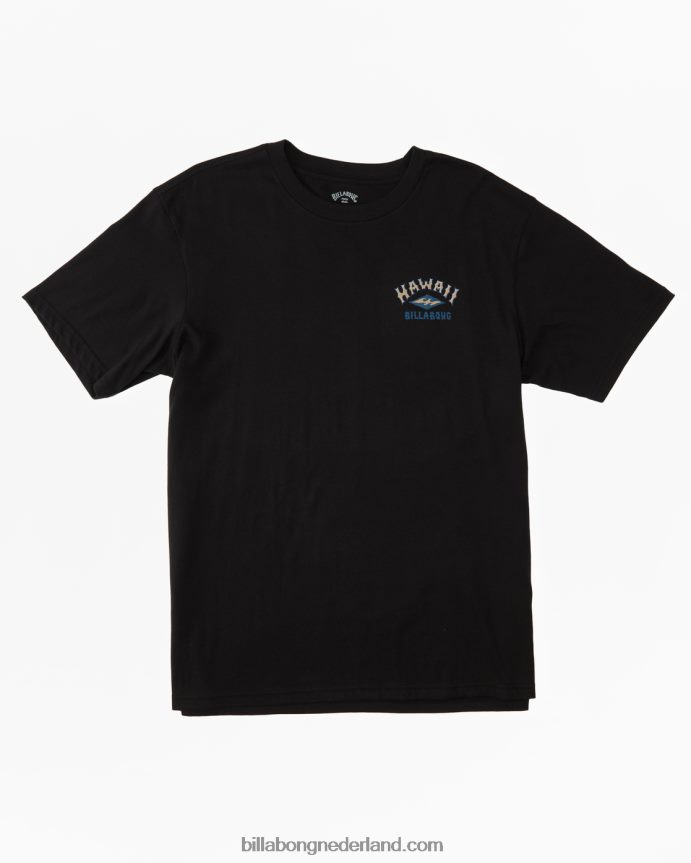 Billabong Heren hawaï boog t-shirtzwart 4D20H337