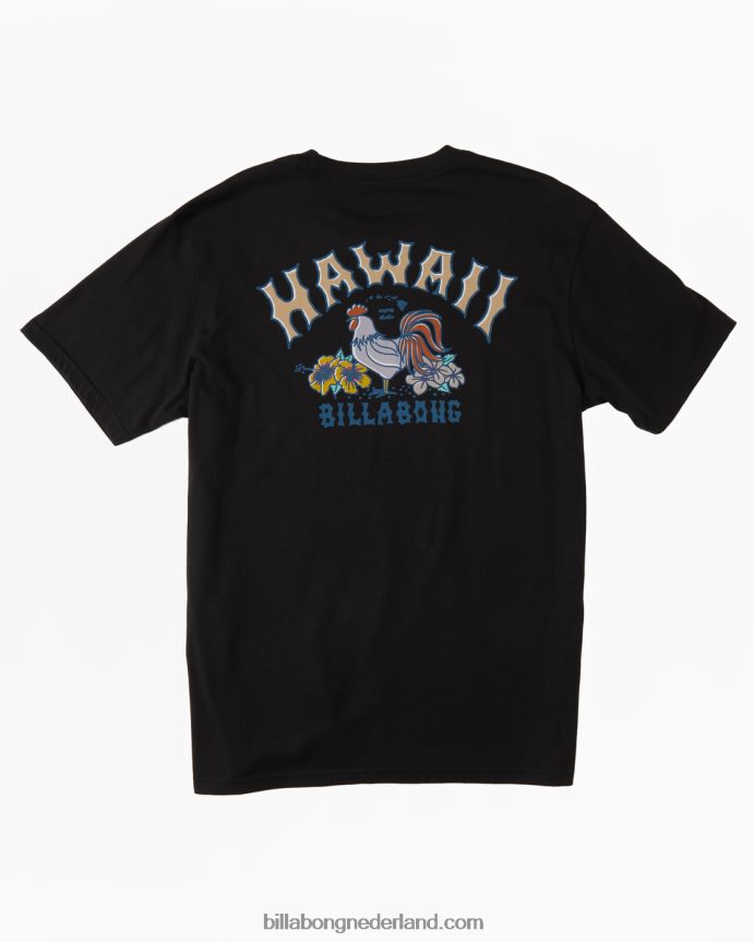 Billabong Heren hawaï boog t-shirtzwart 4D20H337
