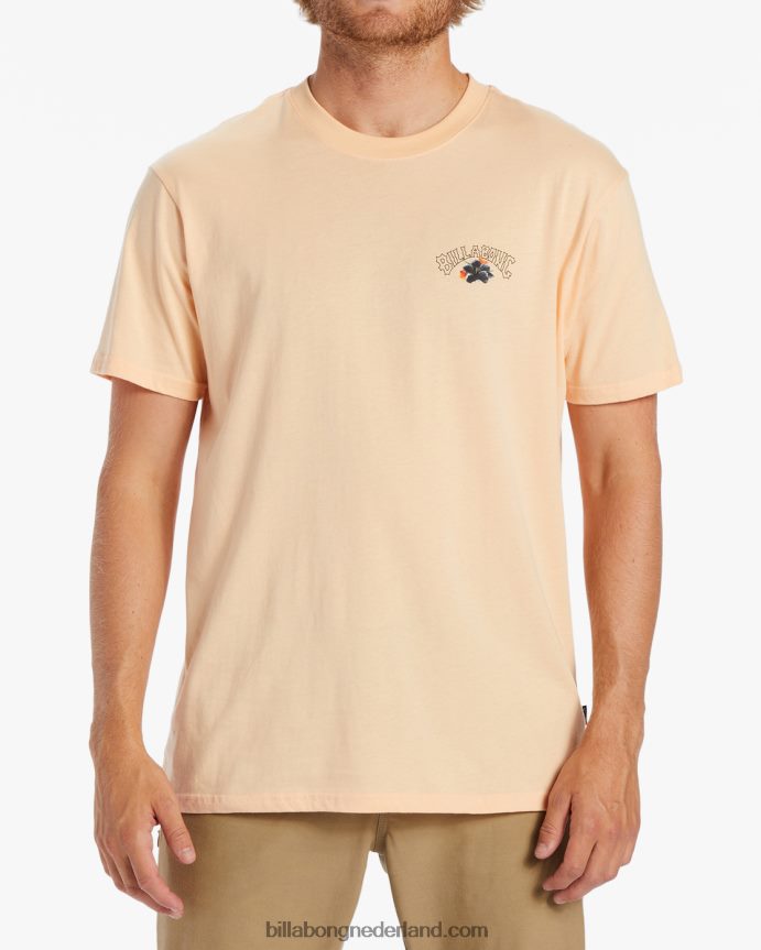 Billabong Heren kamea lavaboog t-shirtstoffige meloen 4D20H499