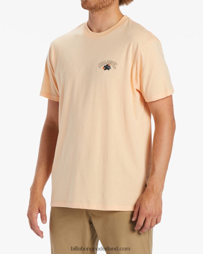 Billabong Heren kamea lavaboog t-shirtstoffige meloen 4D20H499