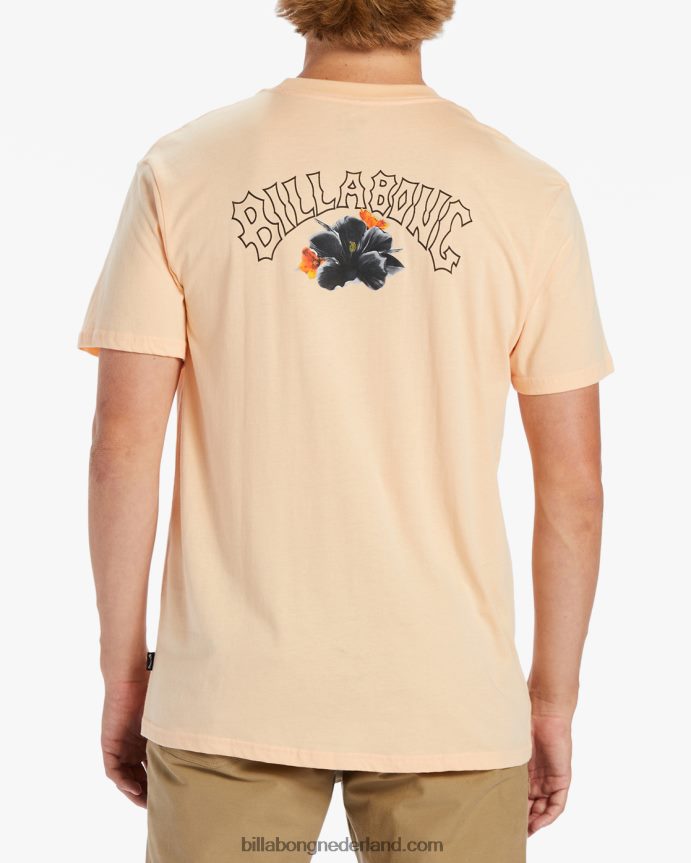 Billabong Heren kamea lavaboog t-shirtstoffige meloen 4D20H499