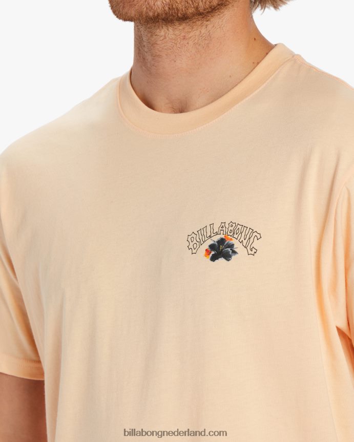 Billabong Heren kamea lavaboog t-shirtstoffige meloen 4D20H499