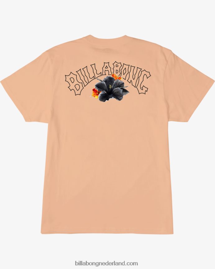 Billabong Heren kamea lavaboog t-shirtstoffige meloen 4D20H499