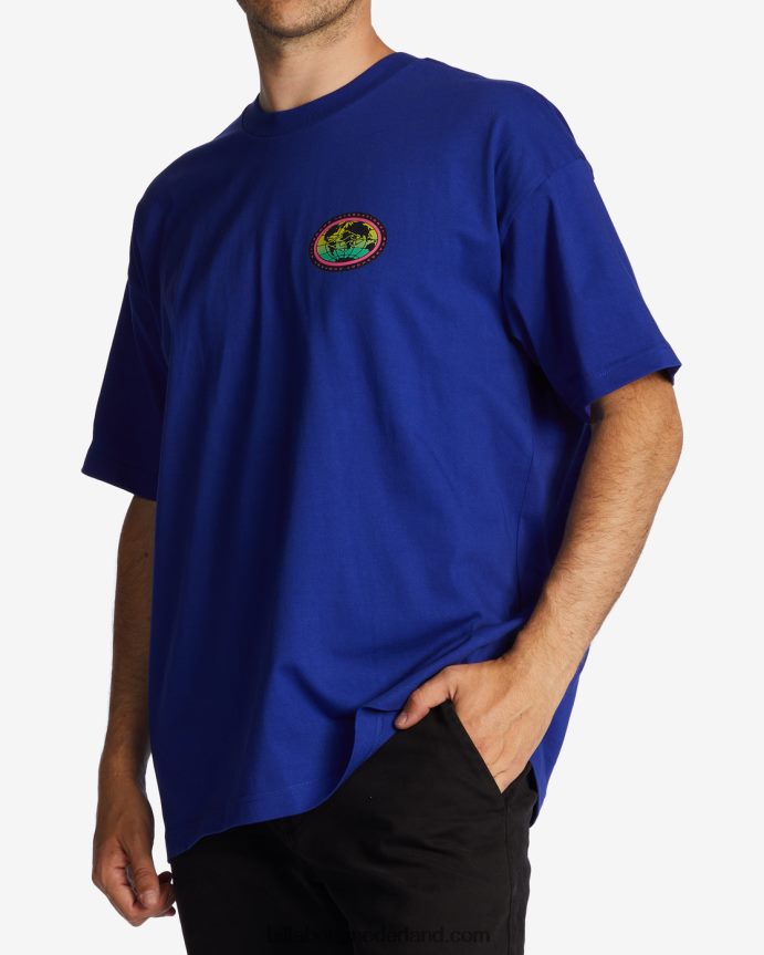 Billabong Heren schuine streep og t-shirtmalibu 4D20H315