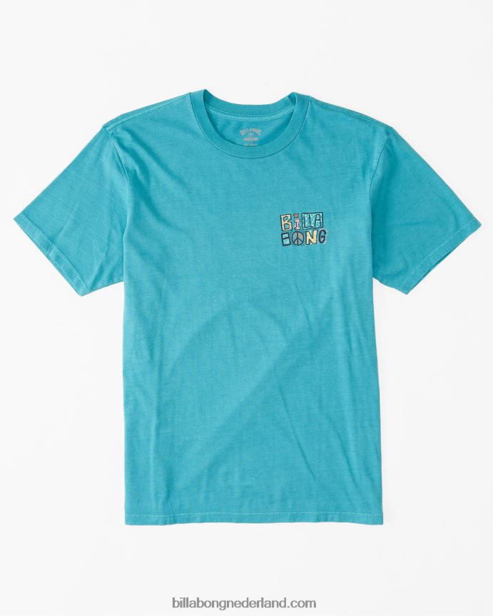 Billabong Heren verwoord t-shirtdonkere munt 4D20H620