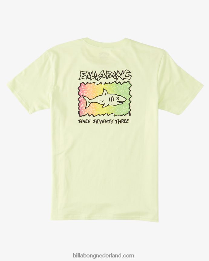 Billabong jongens haaien t-shirtlicht groen 4D20H1048