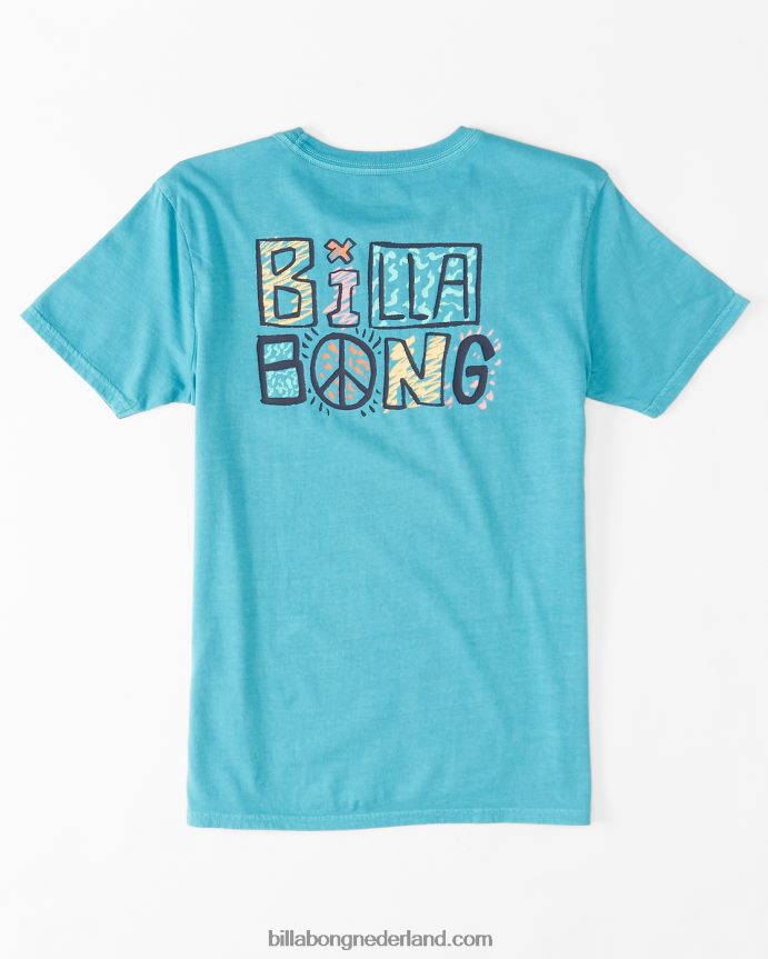Billabong jongens verwoord t-shirtdonkere munt 4D20H1097