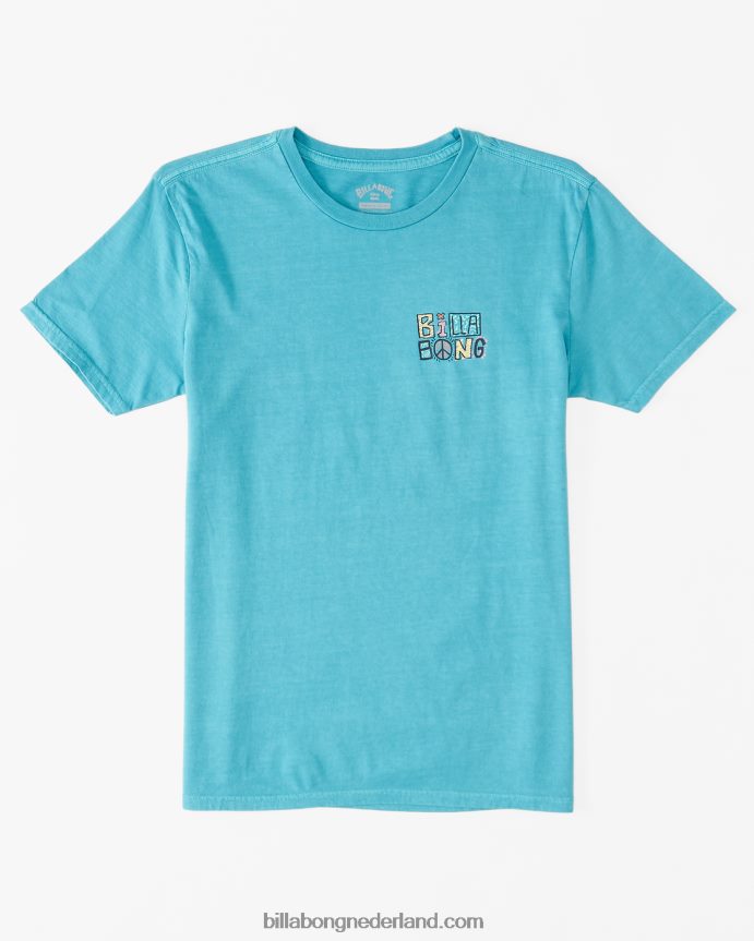 Billabong jongens verwoord t-shirtdonkere munt 4D20H1097
