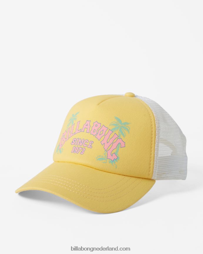 Billabong vrouwen aloha voor altijd vrachtwagenchauffeurpetzonnestraal 4D20H2402