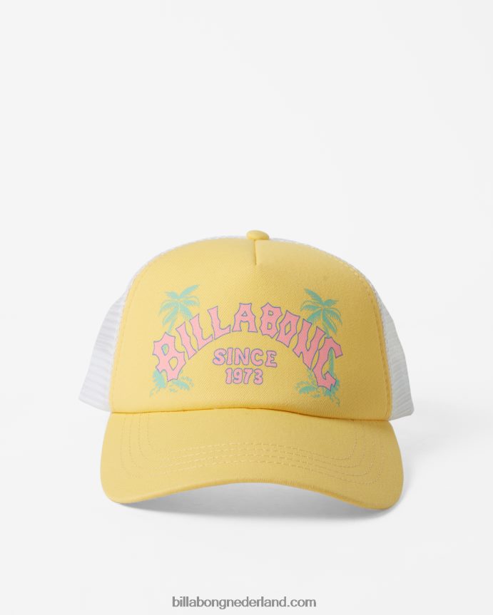 Billabong vrouwen aloha voor altijd vrachtwagenchauffeurpetzonnestraal 4D20H2402