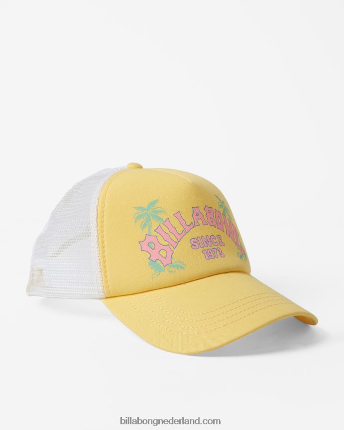 Billabong vrouwen aloha voor altijd vrachtwagenchauffeurpetzonnestraal 4D20H2402