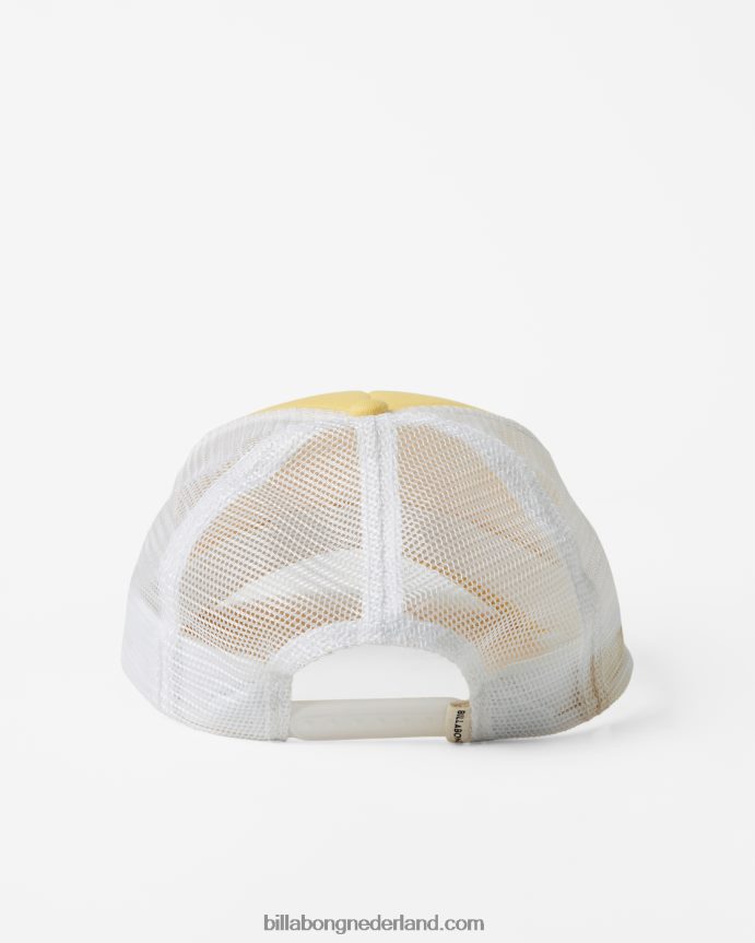 Billabong vrouwen aloha voor altijd vrachtwagenchauffeurpetzonnestraal 4D20H2402