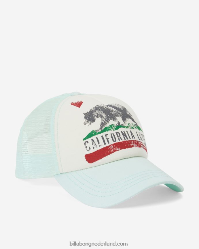 Billabong vrouwen pitstop vrachtwagenchauffeurpetzachte munt 4D20H2487