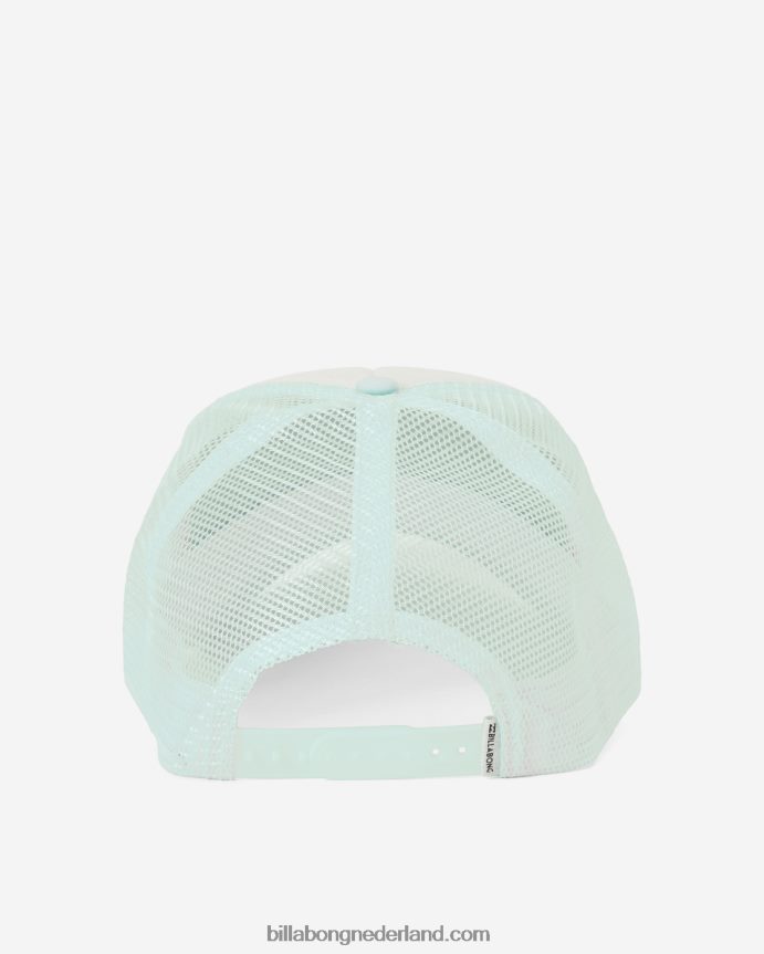 Billabong vrouwen pitstop vrachtwagenchauffeurpetzachte munt 4D20H2487