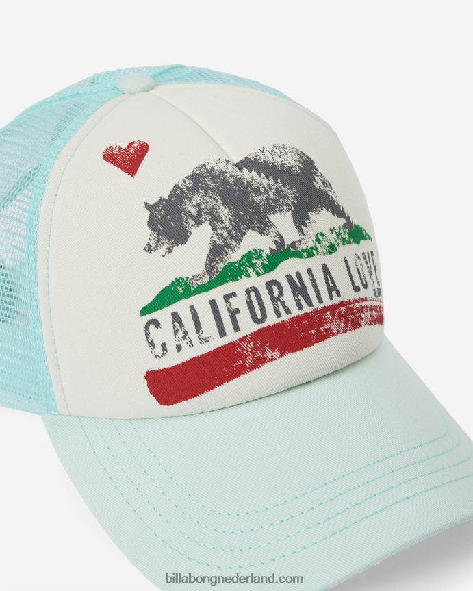 Billabong vrouwen pitstop vrachtwagenchauffeurpetzachte munt 4D20H2487