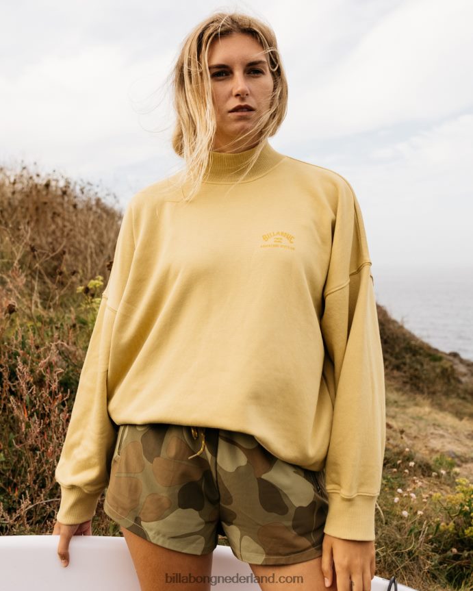 Billabong vrouwen a/div canyon sweatshirt met opstaande kraagwoestijn salie 4D20H2243