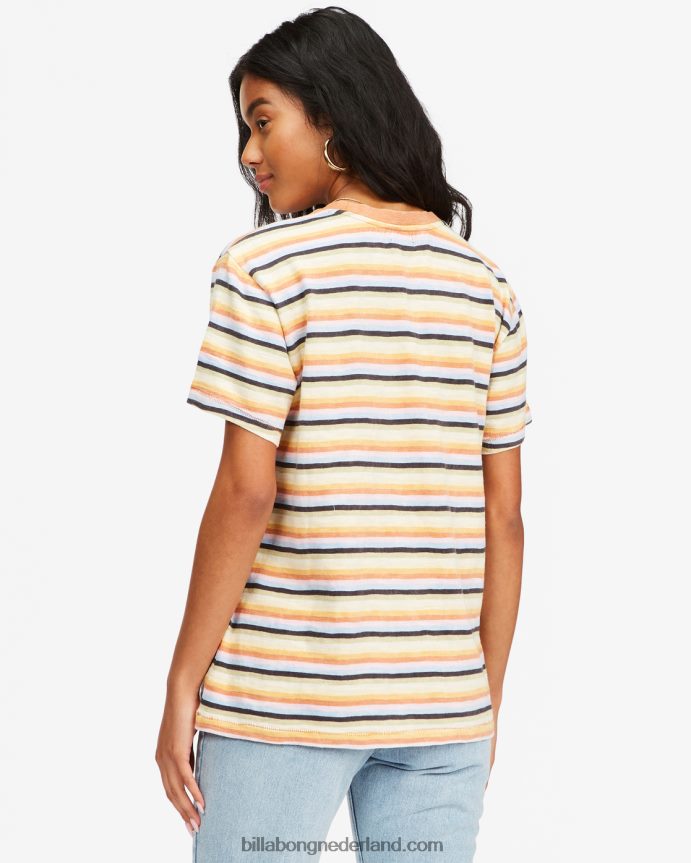 Billabong vrouwen take a trip gestreept t-shirtmultico 4D20H2308